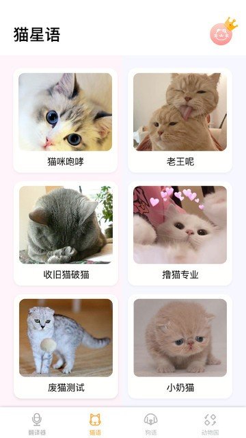 翻译猫语最新版图2