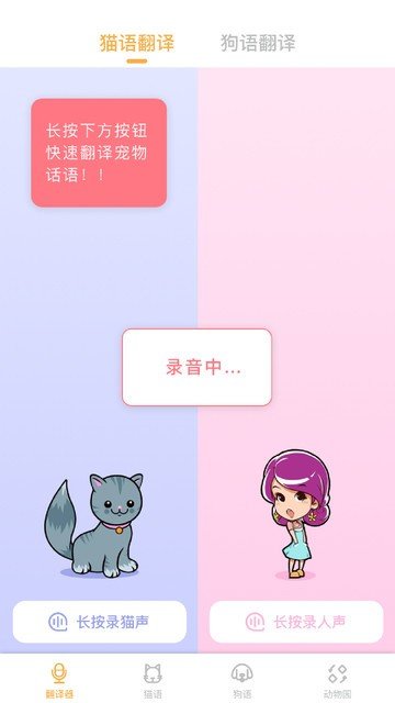 翻译猫语最新版图4