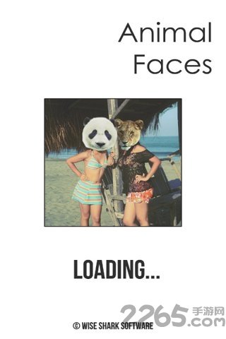 panda face熊猫脸手机版图1