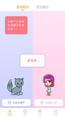 翻译猫语图2