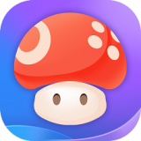 蘑菇云游戏最新版