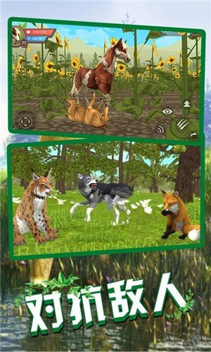 狼王狩猎模拟图2