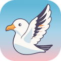海鸥直播手机版下载-海鸥直播手机最新版v1.8.0